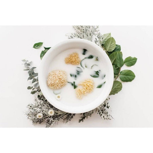 Kyte Baby - Natural Sea Sponge Bath Accessories