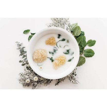 Kyte Baby - Natural Sea Sponge Bath Accessories