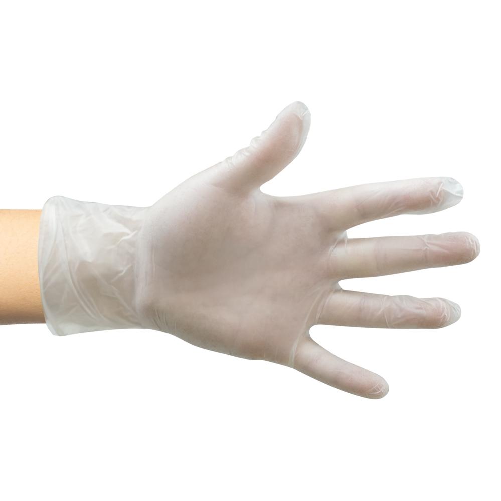 ProtecAll Disposable Clear Vinyl Gloves Powder Free,100 per dispenser box (Sold per case of 1000)